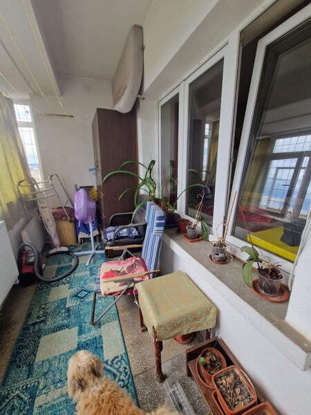 Piata Romana, Povernei stradal
